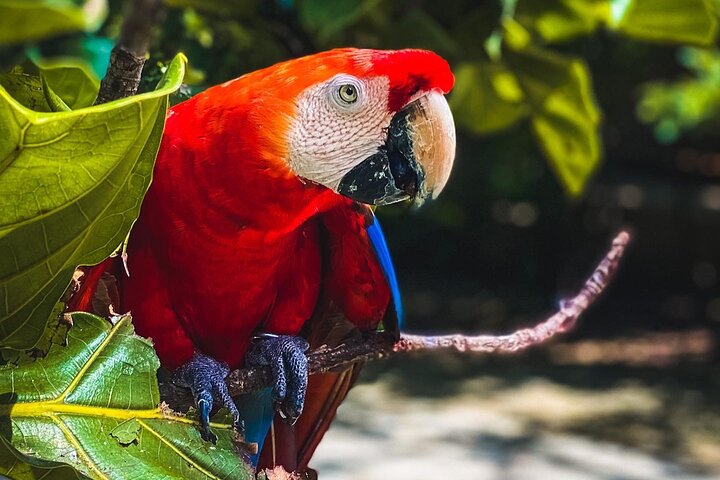 tour aviario - Image 9