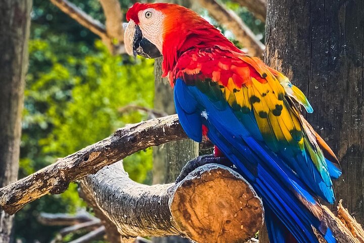 tour aviario - Image 6