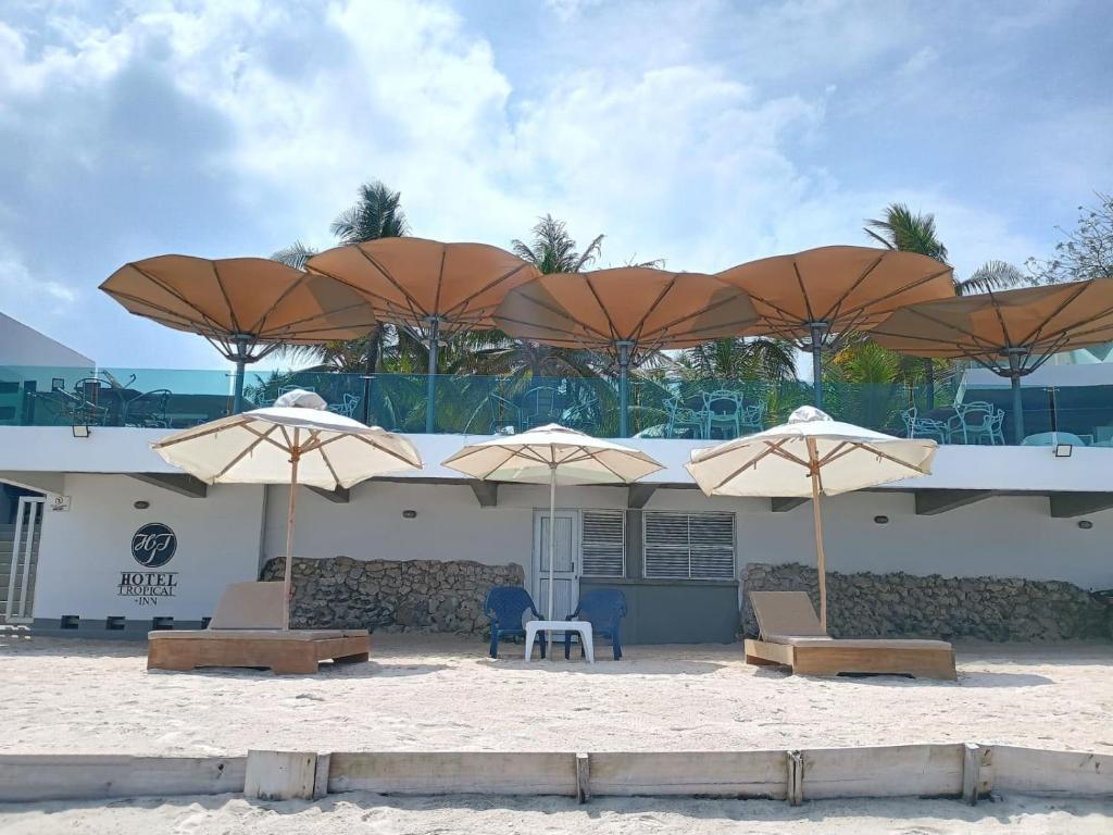 tropical inn - Image 6
