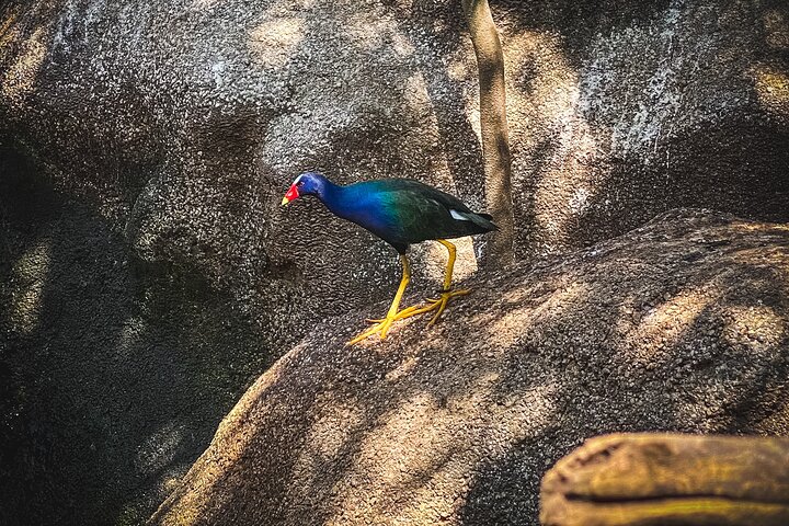 tour aviario - Image 4
