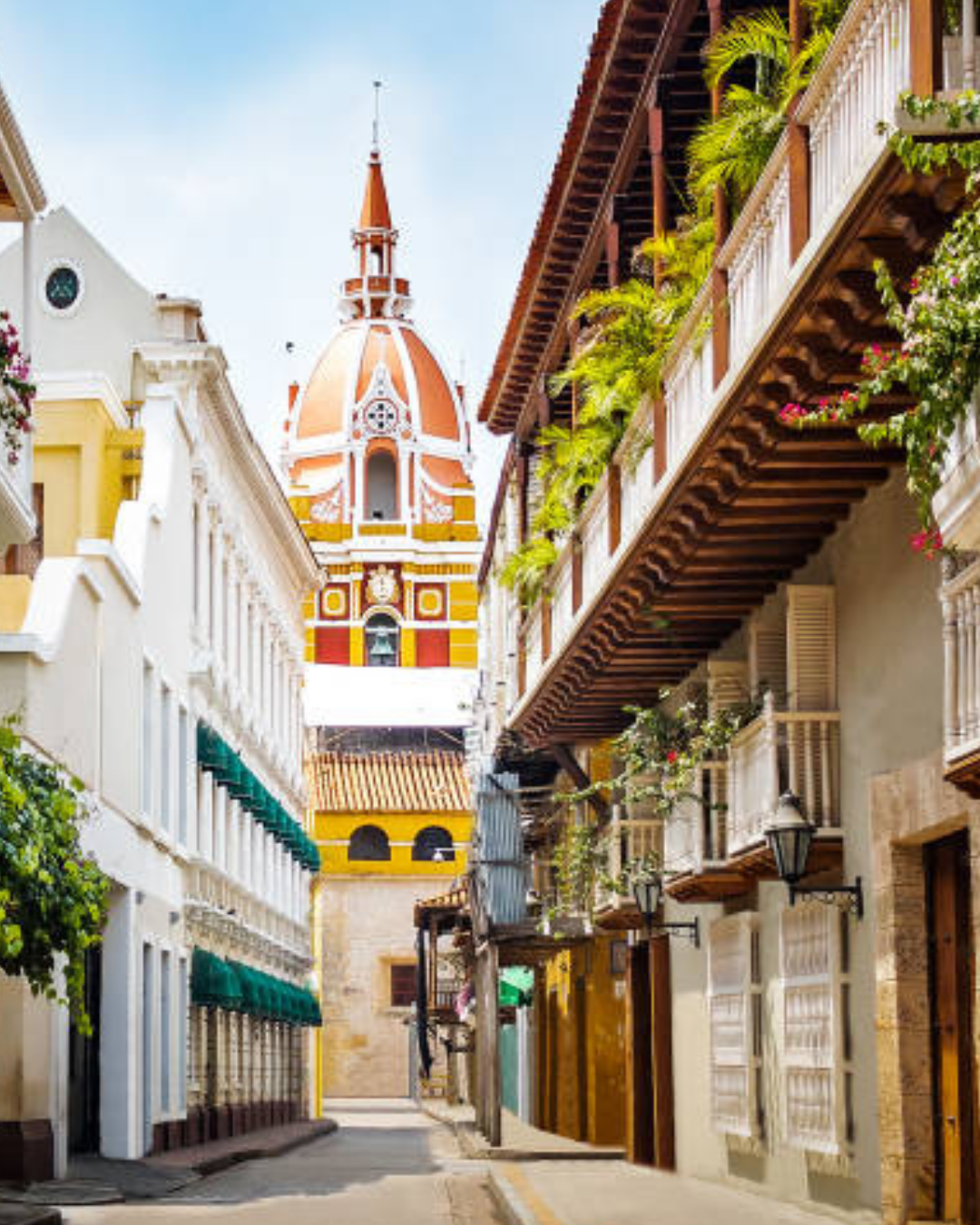 Post Instagram hospedaje senderismo dinámico monocromático